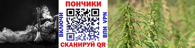 Купить закладку ГАШИШ  Alpha-PVP  Меф мяу мяу  Слюдянка