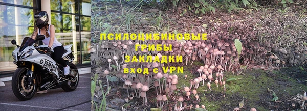 ПСИЛОЦИБИНОВЫЕ ГРИБЫ Волоколамск